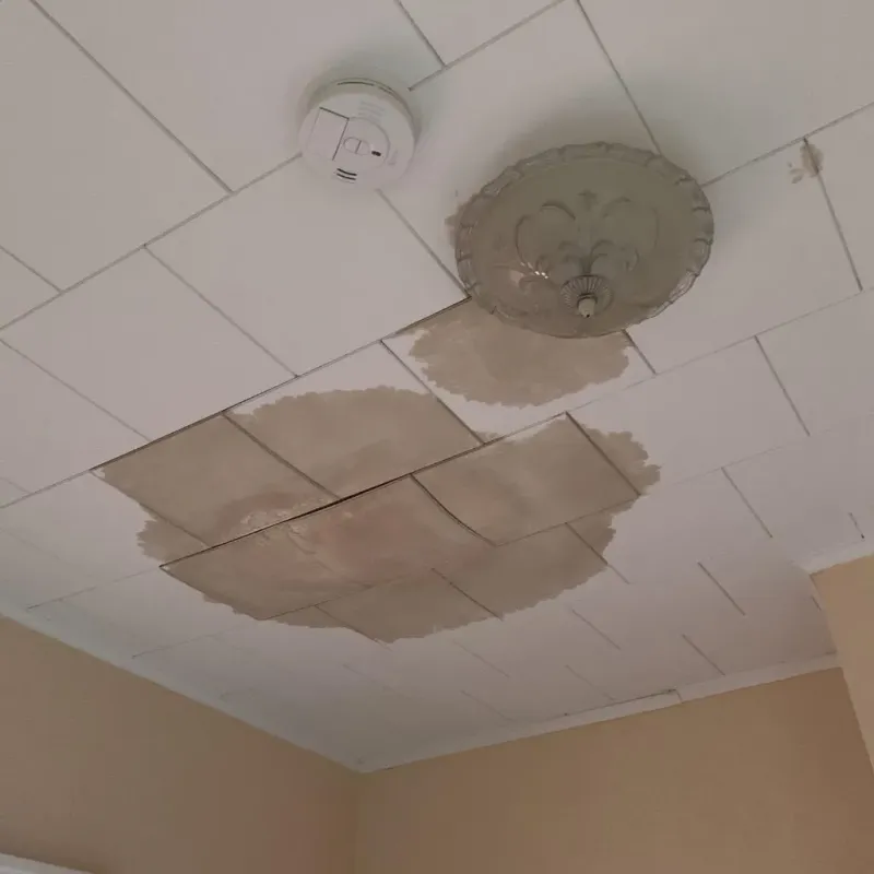 Ceiling Water Damage Repair in Centerville, MN