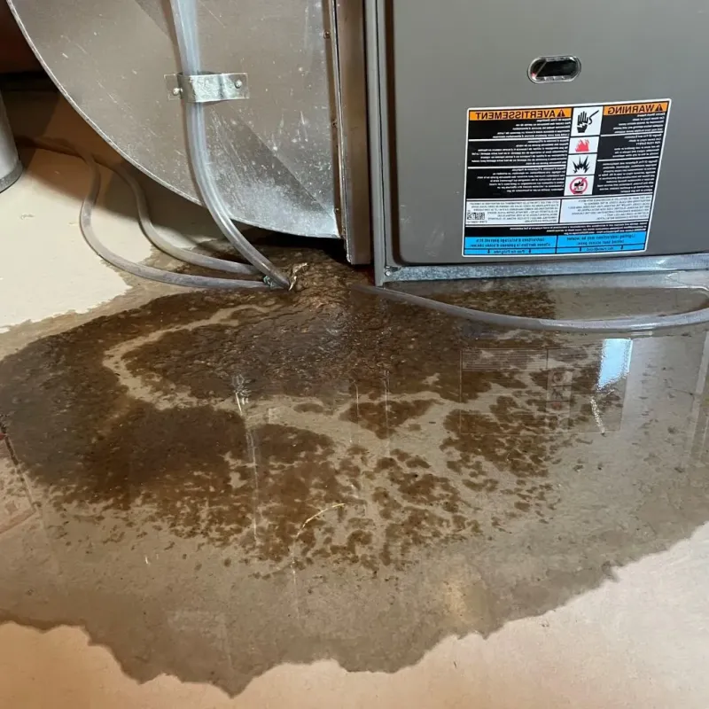 Pipe Burst and Leak Restoration in Centerville, MN