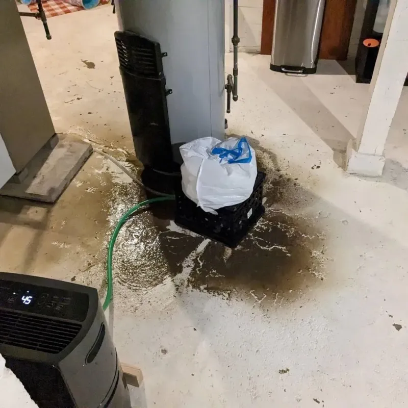 Sewage Backup Cleanup Service in Centerville, MN